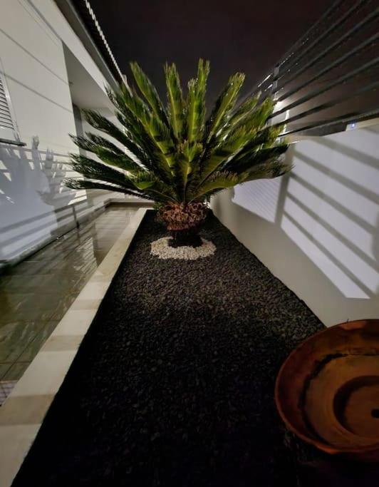 Vila Da Pesca House Rabo de Peixe Eksteriør billede